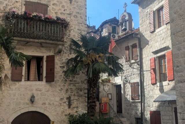 Kotor