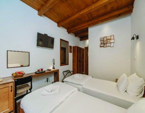 Hotel in Žabljak (ZPT001) — photo 15
