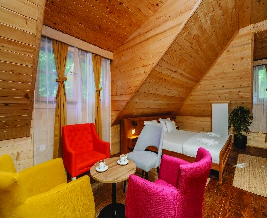 Hotel in Žabljak (ZPT001) — photo 23